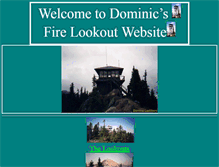 Tablet Screenshot of forestlookout.com